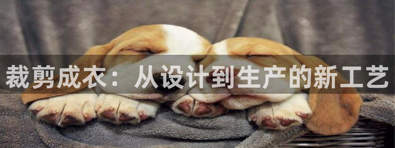 利记官网