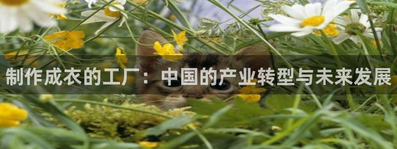 利记彩票官网网址官网hd71