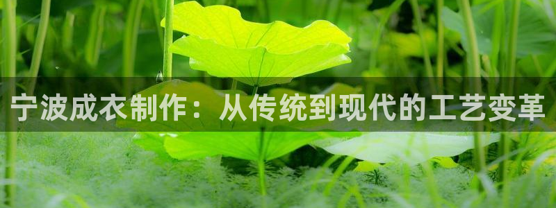 利记官网官方网站