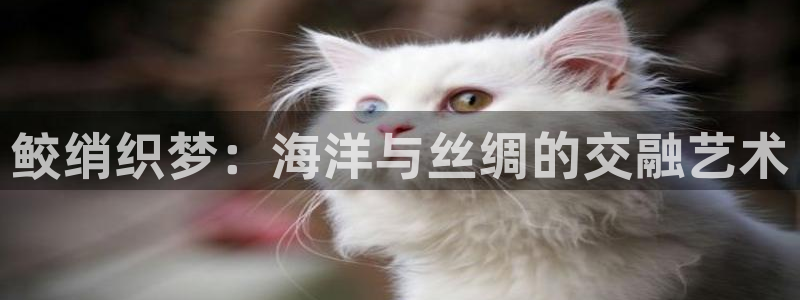 利记官网是真的吗