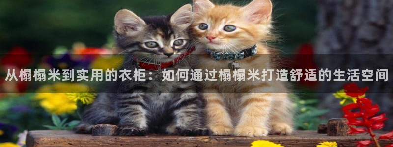 利记官网a