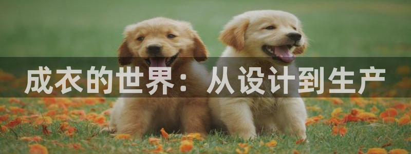 利记足球官网