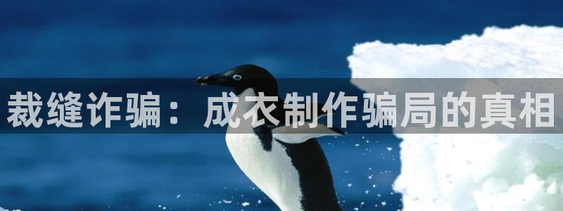 利记手机官网银河网
