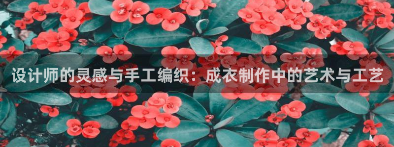 新利记官网