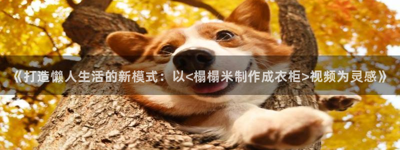 利记官网是多少