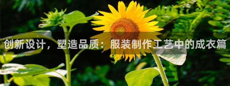 利记手机官网bb电子平台官方