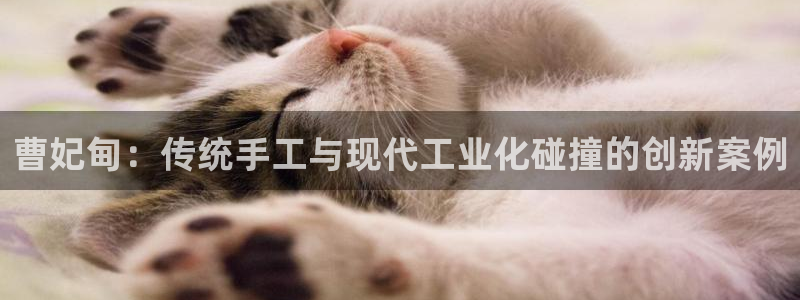 利记体育手机版官网