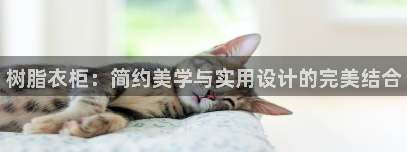 利记网官网网址