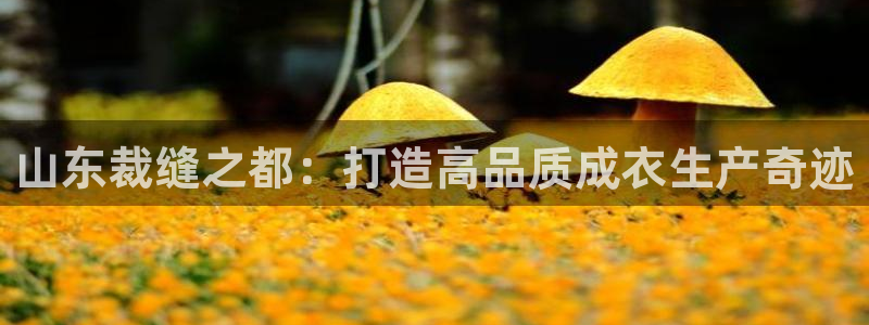 利记官网app下载网址日博官网网址
