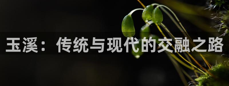 利记网官网