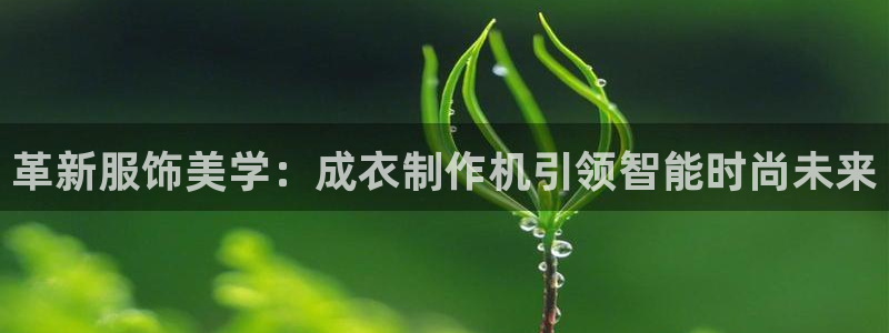 利记官网是什么