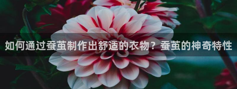 利记官网官方网站