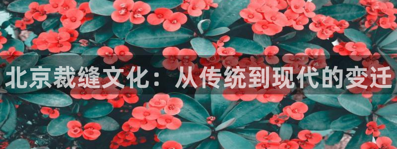 sbo利记体育官网
