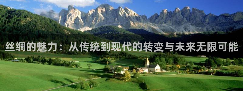 新利记官网