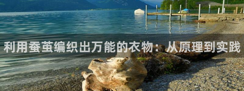 利记体育app官网