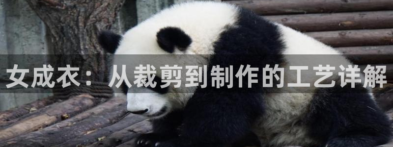 利记官网香菜1