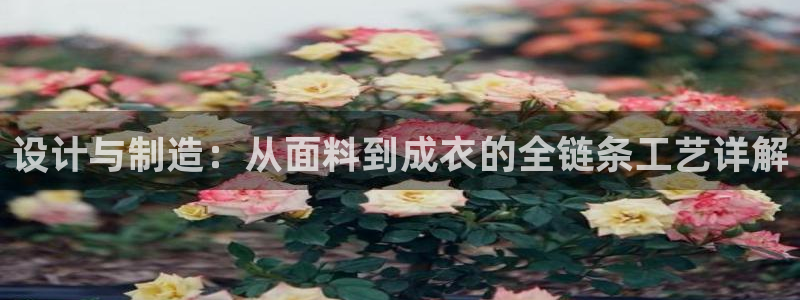 利记二手车行官网