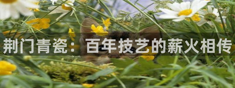 利记广告联盟官网