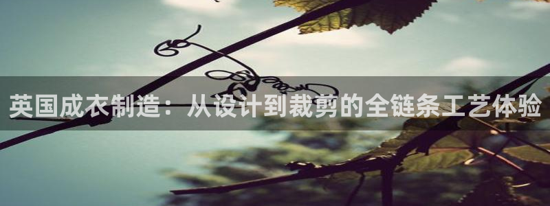 万利记唯一官网