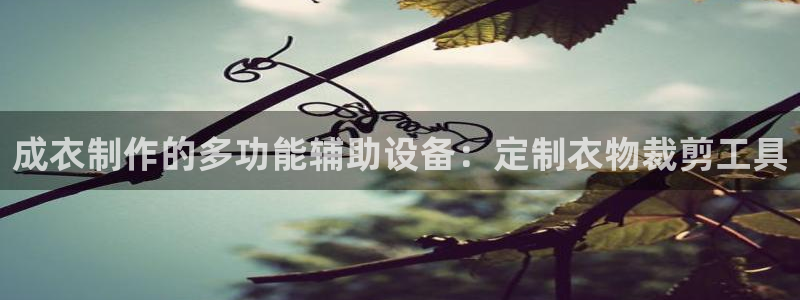香港利记集团官网地址