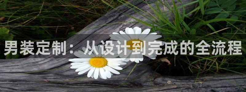 利记手机官网电子mg官方网站
