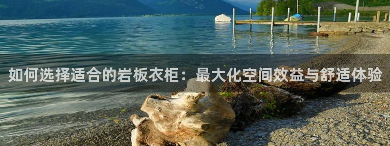 利记体育官网首页