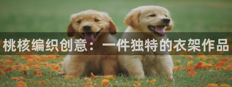 利记官网注册网