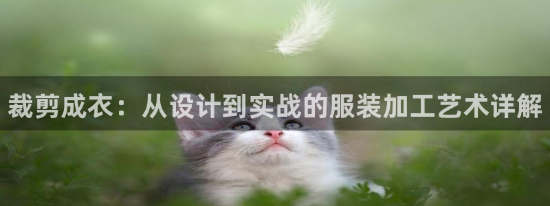 利记官网葡京投注网址