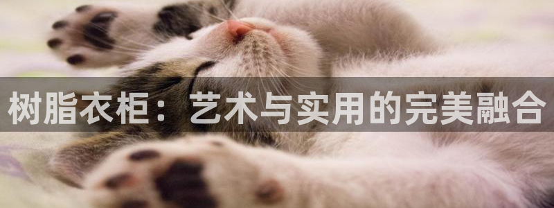 利记手机官网电子mg官方网站