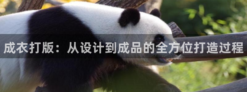 利记app官网真人游戏