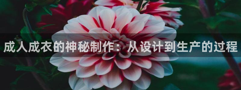 利记官网官方网站
