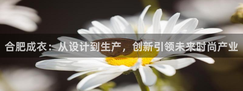 利记游戏开户ysb体育官方官网