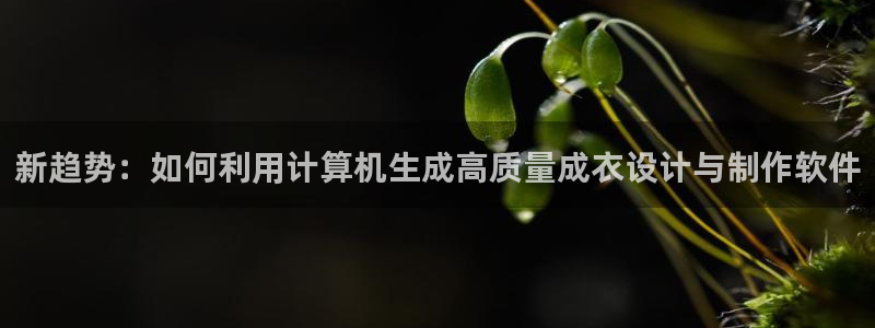 利记买球官网