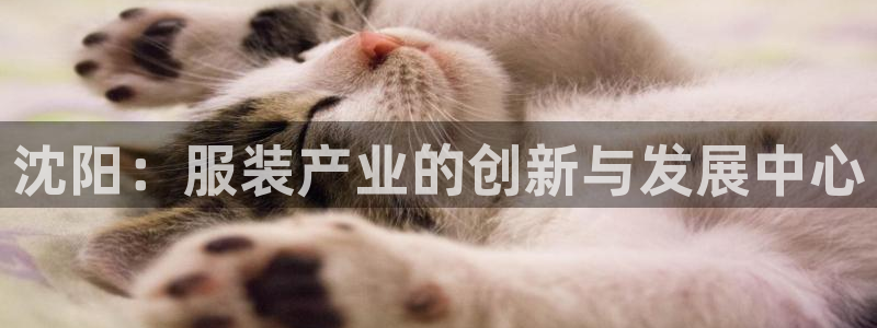 利记二手车行官网