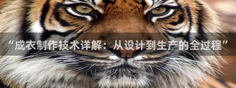 利记官网app下载