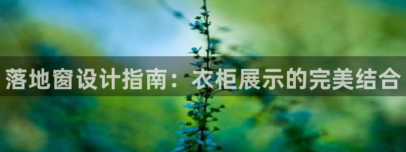 利记娱乐会员金钻官网