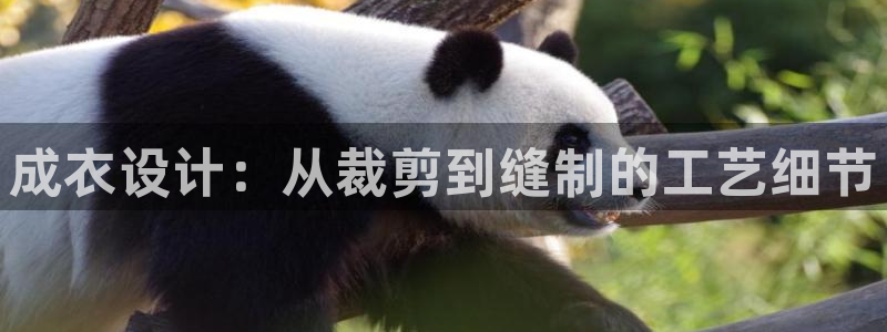 利记体育官网首页