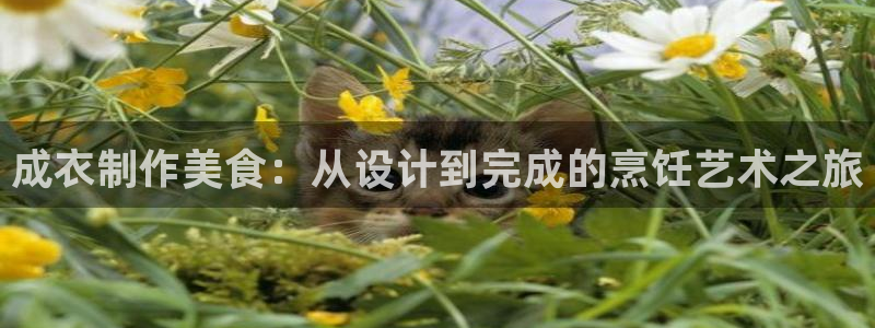 利记体育在线官网