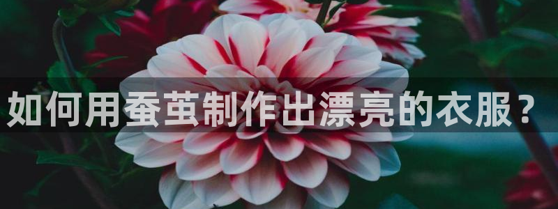 万利记唯一官网