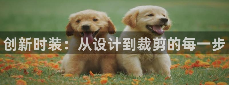 利记 官网