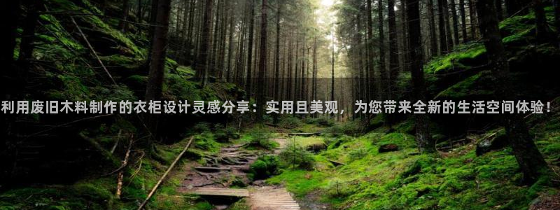利记官网香菜1