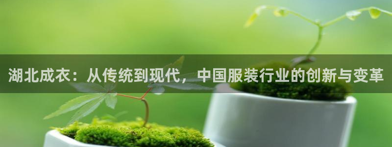 利记官网是多少