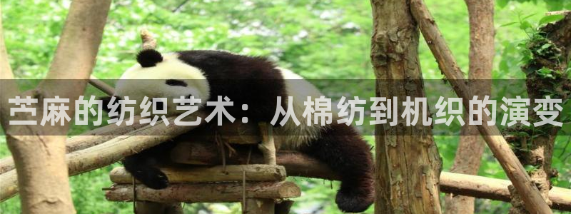 利记体育官网地址