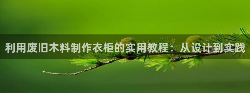 利记官网是什么