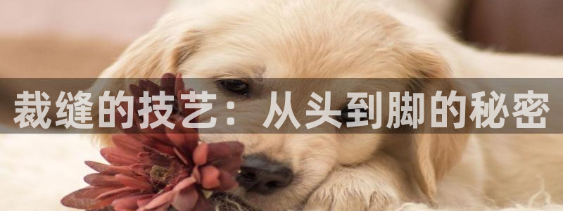 澳门大利来记官网