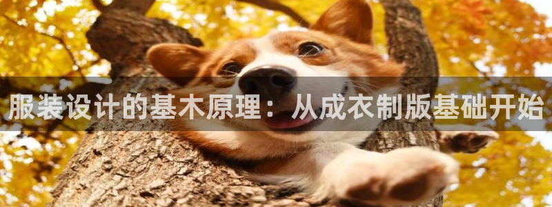 利记坊官网注册账号